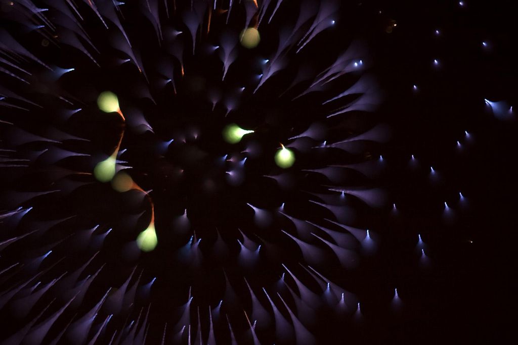 fireworks photography