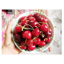 photography cute food colorful cherries